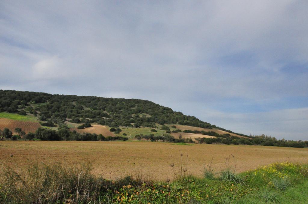 Agriturismo Sa Scalitta Карбония Екстериор снимка