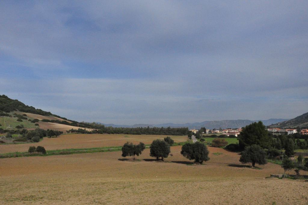 Agriturismo Sa Scalitta Карбония Екстериор снимка
